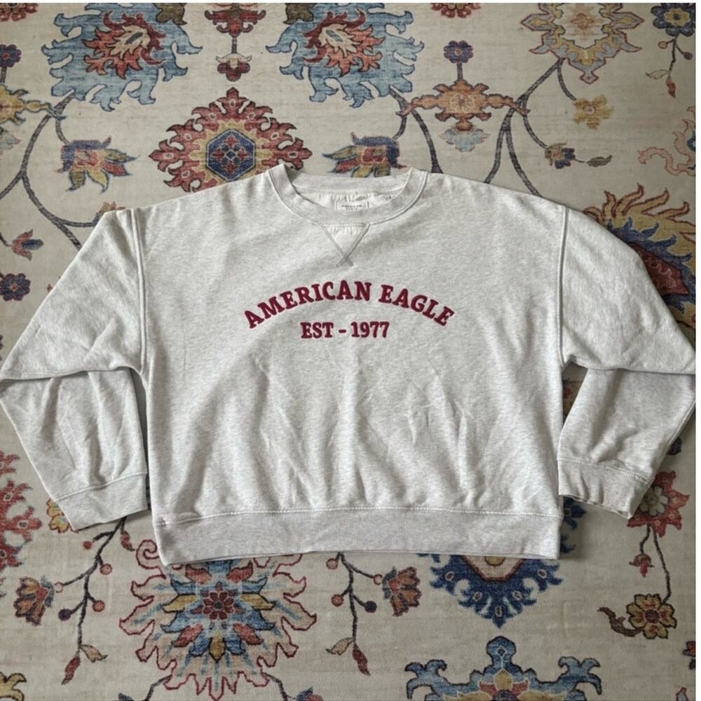American Eagle Funday Graphic Sweatshirt Heather Grey Cozy Pullover Medium